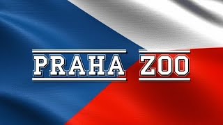 ЛУЧШИЙ ЗООПАРК ЕВРОПЫ | ЗООПАРК В ПРАГЕ | ЧЕХИЯ | PRAHA ZOO | ПЛЬЗЕНЬ→ПРАГА→ПЛЬЗЕНЬ