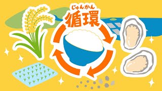 【3分半で分かる】食べ物が循環するってどういうこと？ 岡山の牡蠣から学ぼう