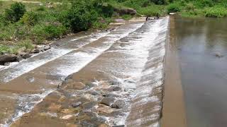 Noyyal Chithirai Shavadi Dam - நொய்யல் சித்திரைச்சாவடி தடுப்பணை, Coimbatore #TouristSpot #sasisview