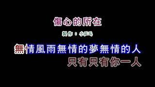 (伴奏版)江蕙-傷心的所在(DIY卡拉OK字幕)