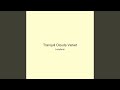 Tranquil Clouds Velvet