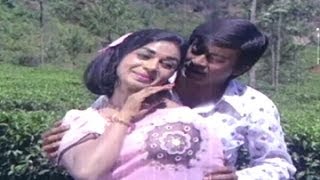 Bayalu Daari–Kannada Movie Song | Kanasalu Neene Manasalu Video Song | TVNXT
