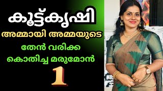 സ്നേഹമുള്ള മരുമോൻ - 1