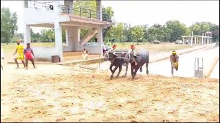 ಕಾರ್ಕಳ ನೆಕ್ಲಾಜೆ ಗುತ್ತು ಕುಧಿ ಕಂಬುಳ | ಕೊಳಕೆ ಇರ್ವತ್ತೂರು ಆನಂದೆರ್| ಮೀಯಾರ್|