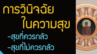 บุคคลควรรู้จักการวินิจฉัยในความสุข | สุขที่ควรกลัว กามสุข และสุขไม่ควรกลัว สุขอาศัยเนกขัมมะ