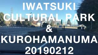 【野鳥】岩槻文化公園と黒浜沼の野鳥たち