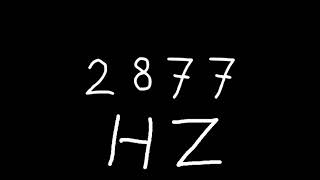 2877 hz