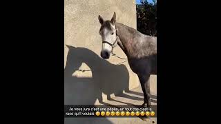 Nasdas La Chienneter offre un cheval a Mouss