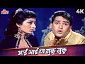 Aai Aai Aa Sukoo Sukoo 4K Song in COLOR | Mohammed Rafi | Shammi Kapoor, Helen | Junglee Movie Songs