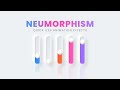 Creative CSS Animation Effects | CSS3 Neumorphism