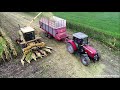 mais hakselen chopping corn maishäckseln new holland 1800 ford tw 15 maisseizoen silage