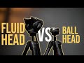 Ball Heads VS Fluid Heads: 7 Things you need to know