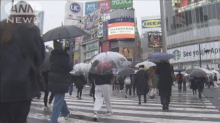 警報級大雪の恐れ　関東甲信で大雪　23区も積雪予想(2024年2月5日)