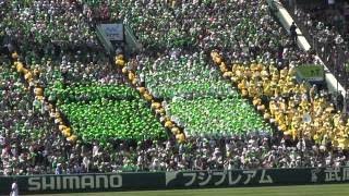 【2015センバツ】 松山東高校 アルプススタンド 「気合い入れ」 (グラウンド整備中)