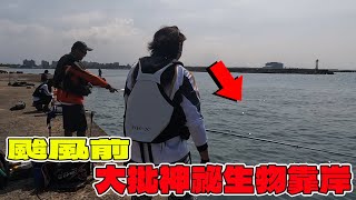 漁港大批生物靠岸 知道颱風要來嗎？第一次遇到龜港這麼咬【漁樂爽報】Fishing Fun NEWS EP175  #釣魚 #钓鱼 #新竹釣點