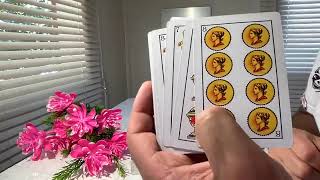 TAURO 20 AL 28 DE FEBRERO 2025 :::: HOROSCOPO HOY TAROT