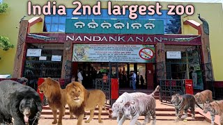 nandankanan bhubaneswar//#jagandhenkanalia/nandankanan zoo//nandankanan bagha//#grow #nandankananzoo