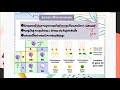 genetics ep2 การทดลองของเมนเดล mendel s law 🍤🥫