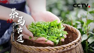 《茶马古道》第二集 | CCTV纪录