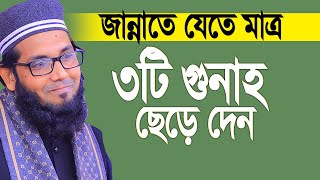 জান্নাতে যেতে চাইলে মাত্র ৩টি গুনাহ ছেড়ে দেন। Molla nazim udddin