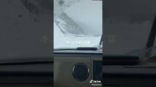 プチ雪崩に巻き込まれた！