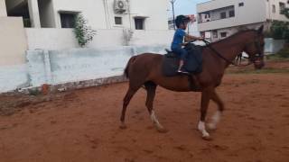 Atharv's Riding on 08-06-2017 5