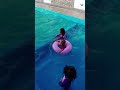 [SAIF AL FATEH] : MANDI KOLAM