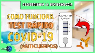 TEST RÁPIDO SEROLÓGICO COVID-19: Cómo funciona | Descubriendo la Biotecnología