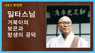 일타스님 법문 - 거북이의 보은과 방생의 공덕.