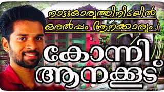 Konni Elephant Cage | കോന്നി ആനക്കൂട്