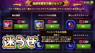 【ヒーローウォーズ・PC版】猛威を振るう嵐、完全攻略編【Hero Wars】