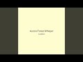 Aurora Forest Whisper