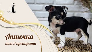 Топ 3 препарата, которые должны быть в аптечка вашего питомца.