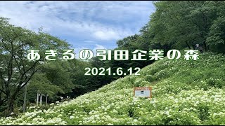 NJC CSR活動「あきる野引田 企業の森」下刈り