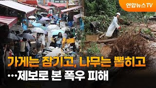 가게는 잠기고, 나무는 뽑히고…제보로 본 폭우 피해 / 연합뉴스TV (YonhapnewsTV)