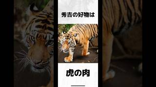 豊臣秀吉の面白い雑学 #shorts #豊臣秀吉 #雑学 #おもしろ