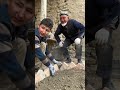 uyghur village life uyghur boy ئۇيغۇر يېزا تۇرمۇشى