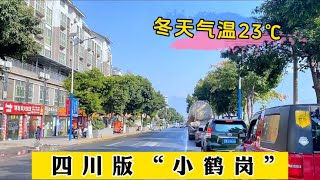 四川版“小鹤岗”，楼房12万一套，冬天气温23度，非常适合养老！