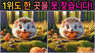 50대는 한 곳을 못 찾습니다!