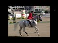 calvaro v jumping final classification 1998 fei world equestrian games