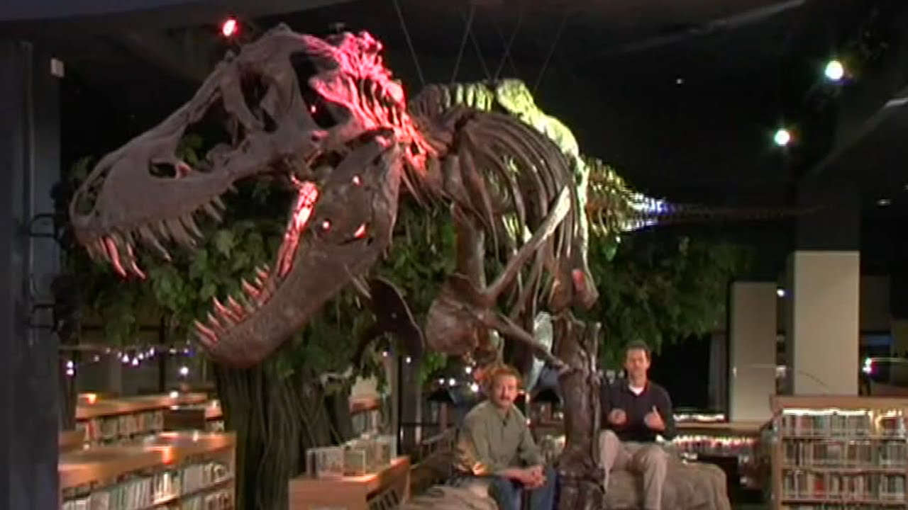 Jurassic Evolution The Missing Link Still Missing Youtube