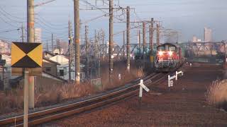 2021.1.16 8075レ DD51 1801＋DF200 201＋タキ15B 八田－春田（蟹江踏切）