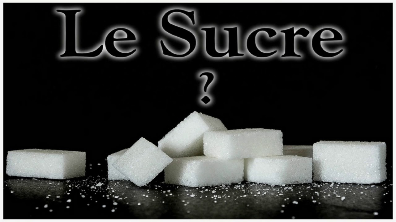 Le Sucre Partie 1 Youtube