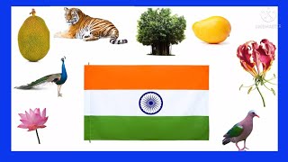 தேசிய சின்னங்கள் மற்றும் மாநிலச் சின்னங்கள் National symbols \u0026 State symbols @LittleCuteBabies