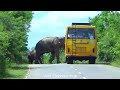 Heart stopping movement terrible elephant attack Lori with passengers