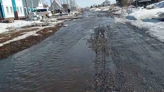 В предместьях Барнаула топит поселок Новый