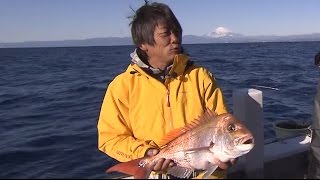 #106 相模湾のアジ＆マダイ五目