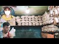 dao terminal public market tagbilaran city( buying seafood )