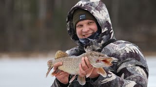 ТРОФЕЇ ВИРИВАЮТЬ ЖЕРЛИЦІ З РУК! Зимова риболовля на річці ЖЕРЕВ! Село Повч!