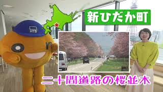 新ひだか町【HTB】北海道テレビ  onちゃんの  市町村 めぐり｢on ザ 北海道｣